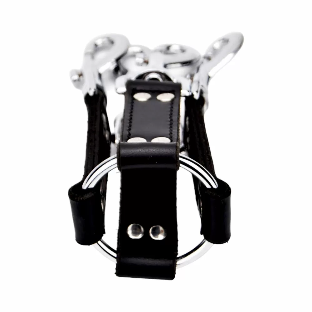 N12269-bound-leather-4-way-hog-tie-1.jpg