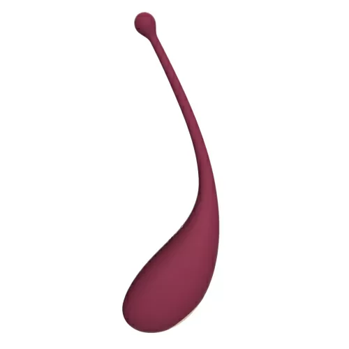 n11560-adrien-lastic-inspiration-clitoral-suction-stimulator-and-vibrating-egg-2.jpg